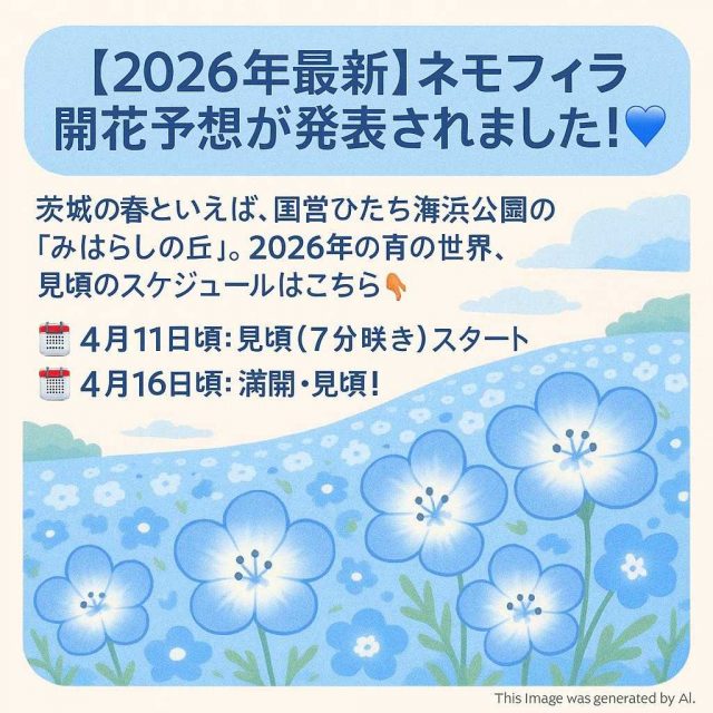 【2026年最新】ネモフィラ開花予想が発表されました！💙  茨城の春といえば、国営ひたち海浜公園の「みはらしの丘」。 2026年の青の世界、見頃のスケジュールはこちら👇  🗓️ 4月11日頃：見頃（7分咲き）スタート 🗓️ 4月16日頃：満開・見頃！