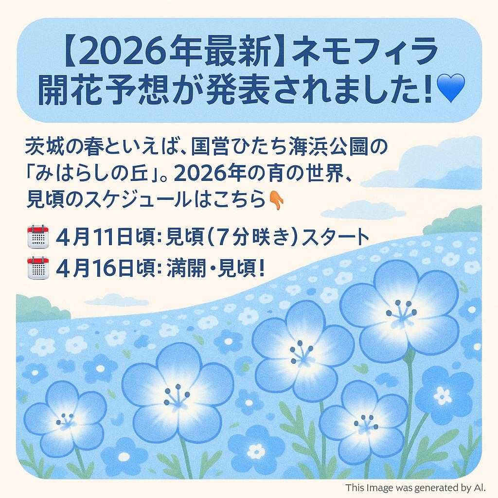 【2026年最新】ネモフィラ開花予想が発表されました！💙  茨城の春といえば、国営ひたち海浜公園の「みはらしの丘」。 2026年の青の世界、見頃のスケジュールはこちら👇  🗓️ 4月11日頃：見頃（7分咲き）スタート 🗓️ 4月16日頃：満開・見頃！