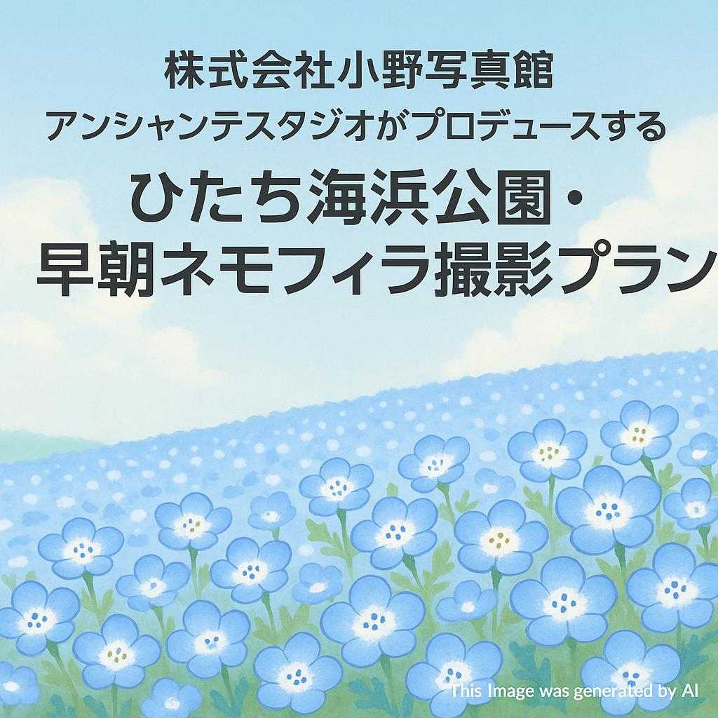 株式会社小野写真館 アンシャンテスタジオがプロデュースする 【ひたち海浜公園・早朝ネモフィラ撮影プラン】